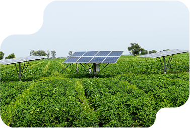 Agricultura e Indústria